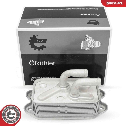 ESEN SKV &Ouml;lk&uuml;hler, Motor&ouml;l 31SKV305
