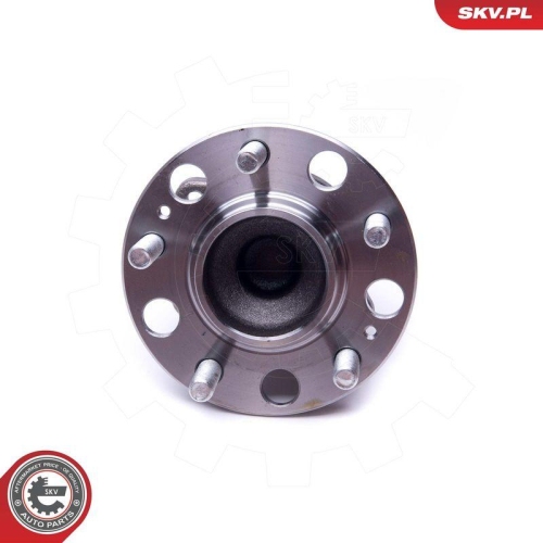 ESEN SKV Radlagersatz 29SKV293