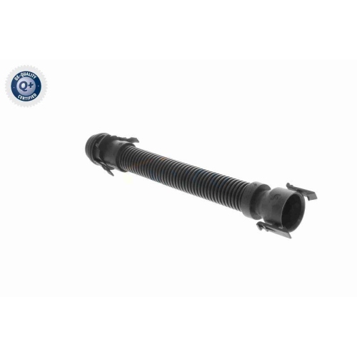 VAICO Schlauch, Luftversorgung Q+, Erstausrüsterqualität V20-3501