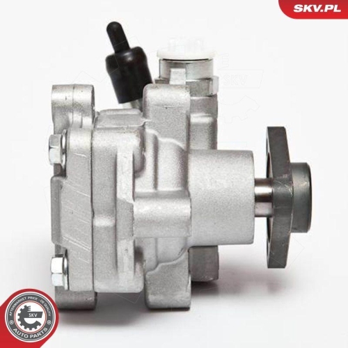 ESEN SKV Hydraulikpumpe, Lenkung 10SKV075