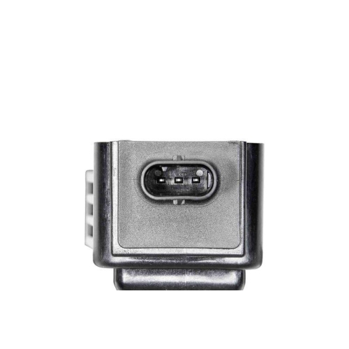 BorgWarner (BERU) Z&uuml;ndspule ZSE233