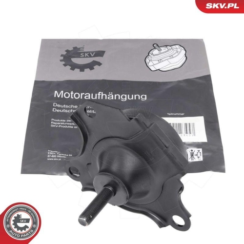 ESEN SKV Lagerung, Motor 75SKV267
