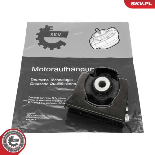 ESEN SKV Lagerung, Motor 75SKV309