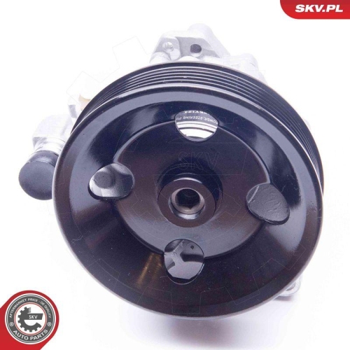 ESEN SKV Hydraulikpumpe, Lenkung 10SKV124