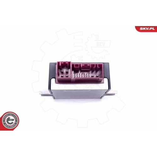 ESEN SKV Steuergerät, Kraftstoffpumpe
