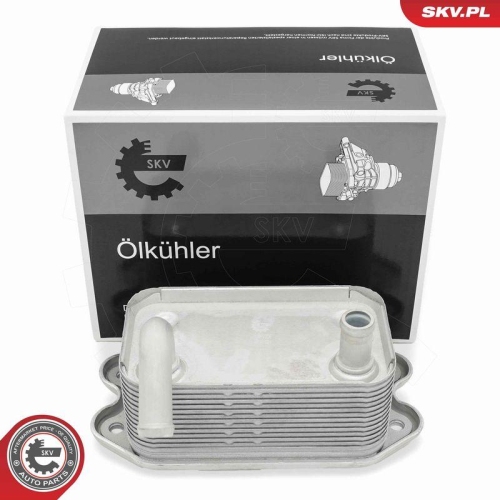 ESEN SKV &Ouml;lk&uuml;hler, Motor&ouml;l 31SKV336