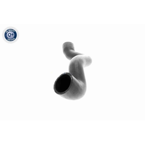 VAICO Kühlerschlauch Q+, Erstausrüsterqualität V20-3329