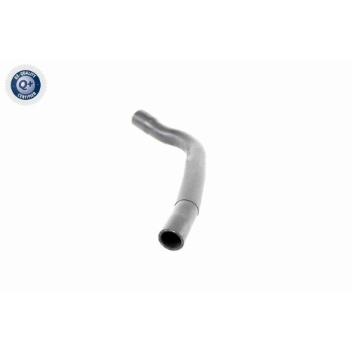 VAICO K&uuml;hlerschlauch Q+, Erstausr&uuml;sterqualit&auml;t V20-3333