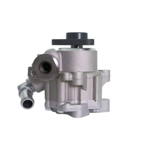 LAUBER Hydraulikpumpe, Lenkung 55.0982