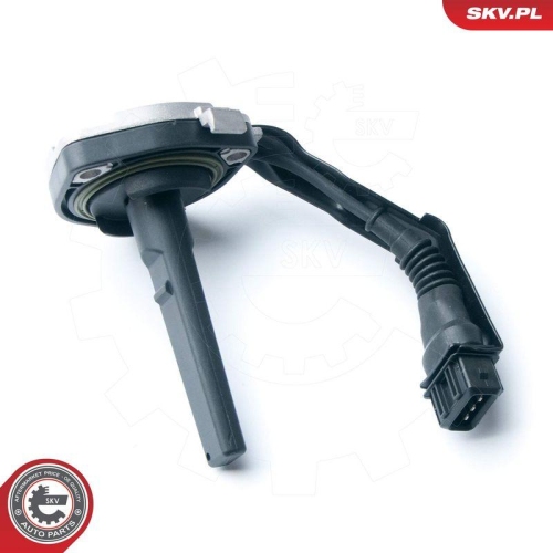 ESEN SKV Sensor, Motor&ouml;lstand 17SKV312