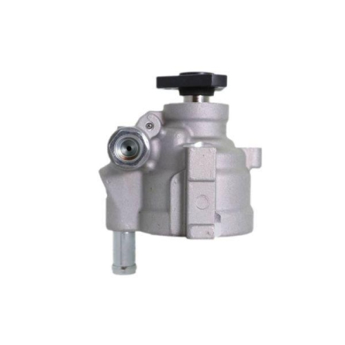 LAUBER Hydraulikpumpe, Lenkung 55.9105