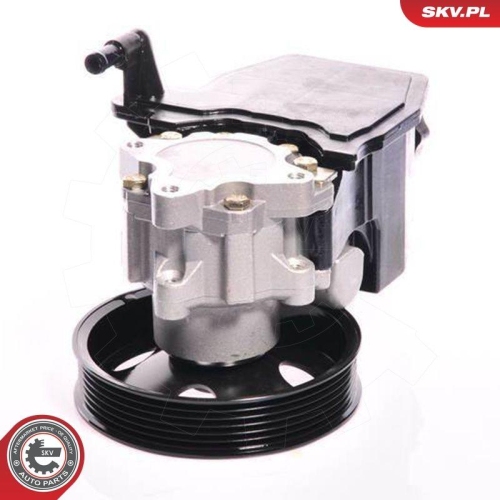 ESEN SKV Hydraulikpumpe, Lenkung 10SKV139