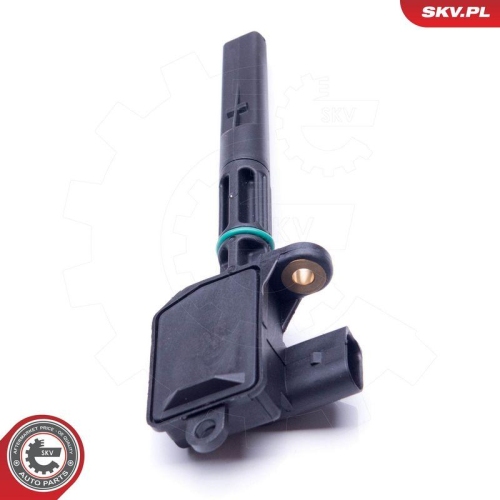 ESEN SKV Sensor, Motor&ouml;lstand 17SKV389
