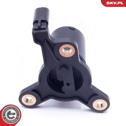ESEN SKV Sensor, Motor&ouml;lstand 17SKV397