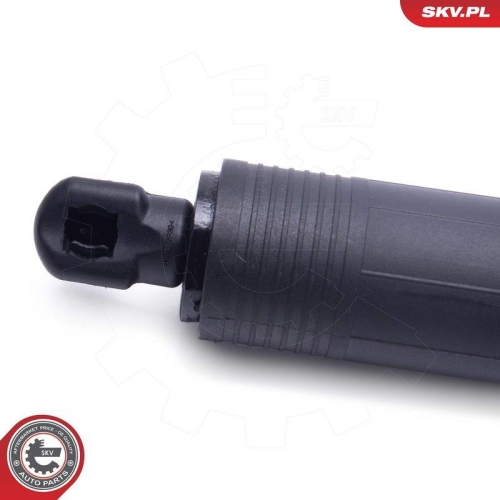 ESEN SKV Elektromotor, Heckklappe 52SKV951