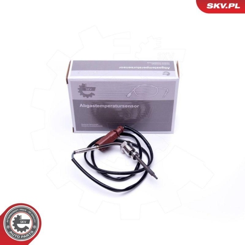 ESEN SKV Sensor, Abgastemperatur 30SKV301