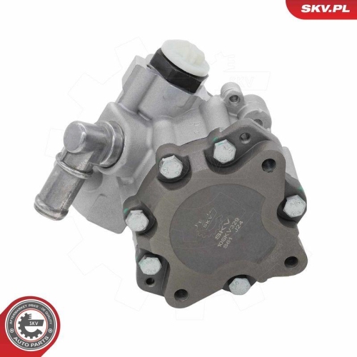 ESEN SKV Hydraulikpumpe, Lenkung 10SKV329