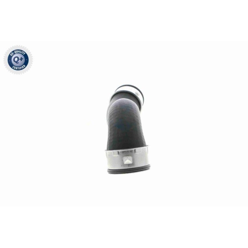 VAICO Ladeluftschlauch Q+, Erstausrüsterqualität V10-3761