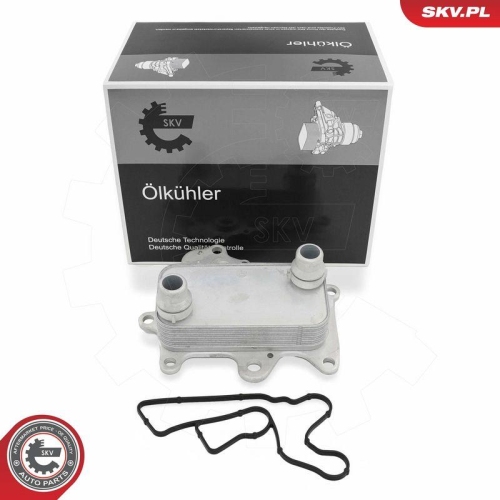ESEN SKV &Ouml;lk&uuml;hler, Motor&ouml;l 31SKV350
