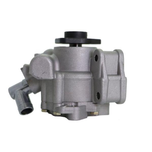 LAUBER Hydraulikpumpe, Lenkung 55.1031