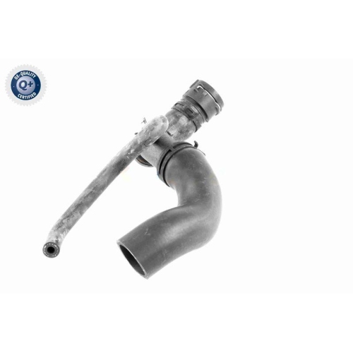 VAICO Kühlerschlauch Q+, Erstausrüsterqualität V10-3915