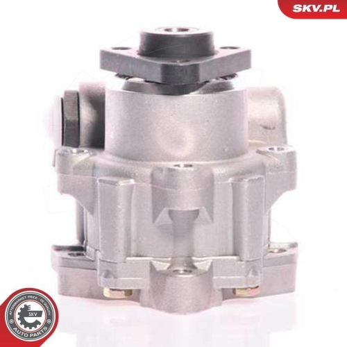 ESEN SKV Hydraulikpumpe, Lenkung 10SKV161