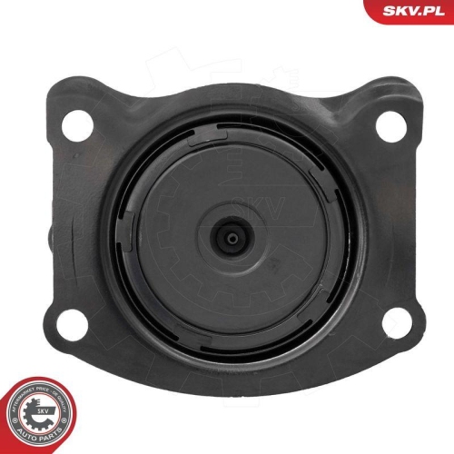 ESEN SKV Lagerung, Motor 75SKV319