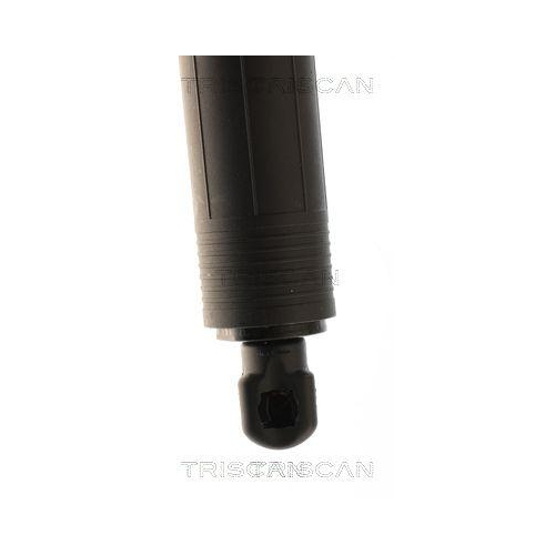 TRISCAN Gasfeder, Koffer-/Laderaum 8710 24303