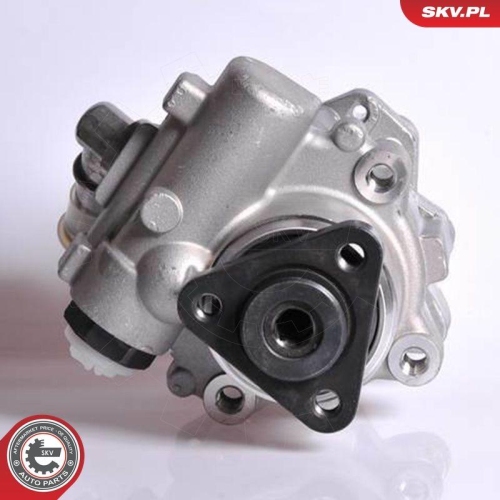 ESEN SKV Hydraulikpumpe, Lenkung 10SKV167