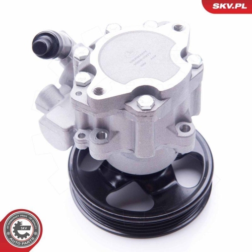 ESEN SKV Hydraulikpumpe, Lenkung 10SKV077