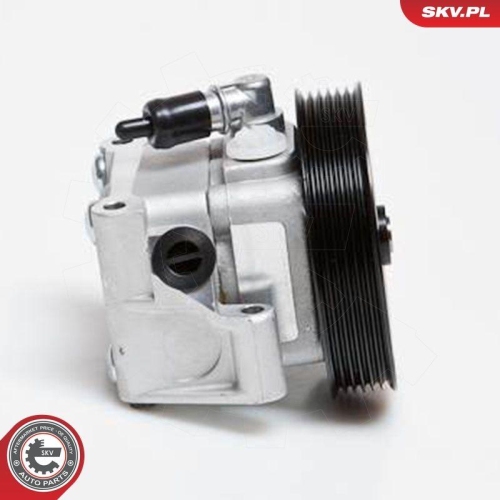 ESEN SKV Hydraulikpumpe, Lenkung 10SKV091