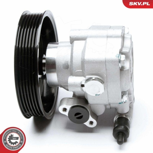 ESEN SKV Hydraulikpumpe, Lenkung 10SKV183