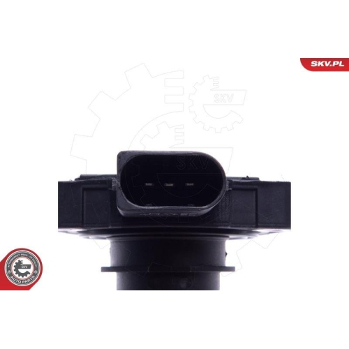 ESEN SKV Sensor, Motorölstand 17SKV746