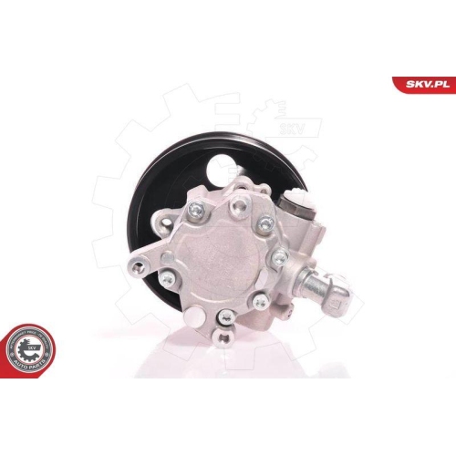 ESEN SKV Hydraulikpumpe, Lenkung 10SKV140