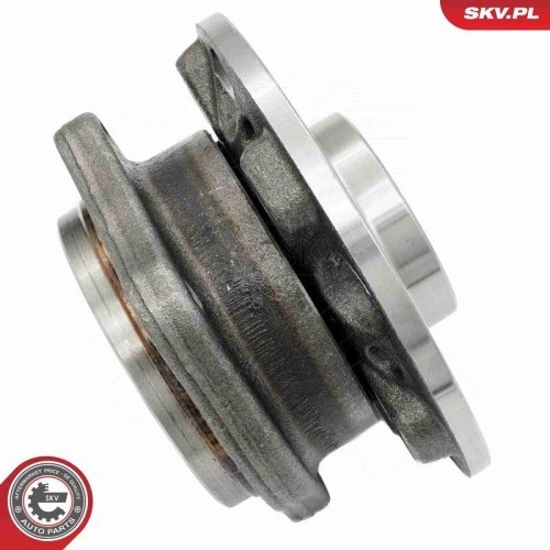 ESEN SKV Radlagersatz 29SKV623