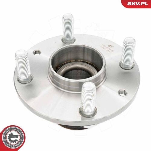 ESEN SKV Radlagersatz 29SKV619