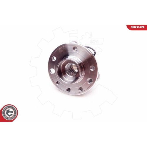 ESEN SKV Radlagersatz