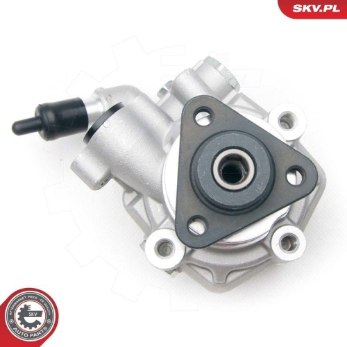 ESEN SKV Hydraulikpumpe, Lenkung 10SKV194