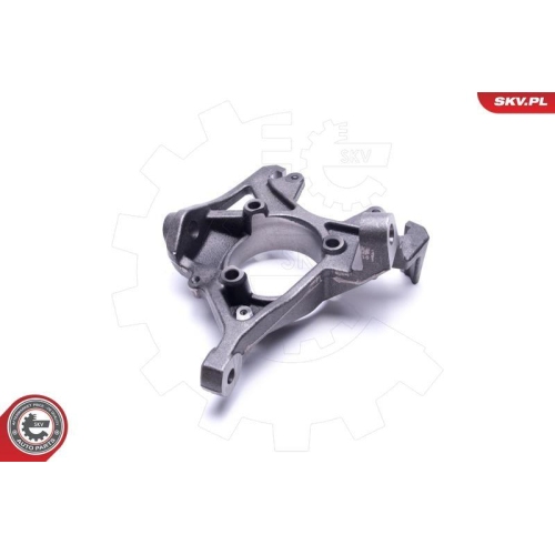 ESEN SKV Achsschenkel, Radaufh&auml;ngung 47SKV851