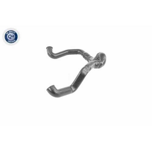 VAICO Schlauch, Zylinderkopfhaubenentlüftung Q+, Erstausrüsterqualität