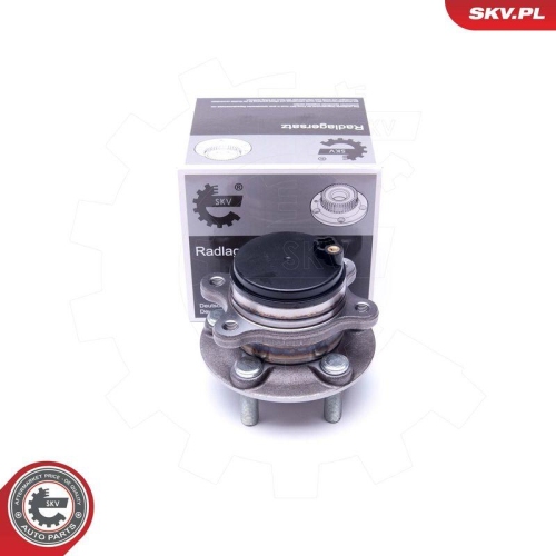 ESEN SKV Radlagersatz 29SKV335