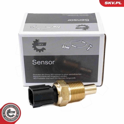 ESEN SKV Sensor, K&uuml;hlmittelstand 17SKV843
