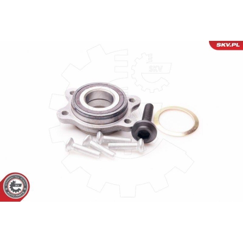ESEN SKV Radlagersatz