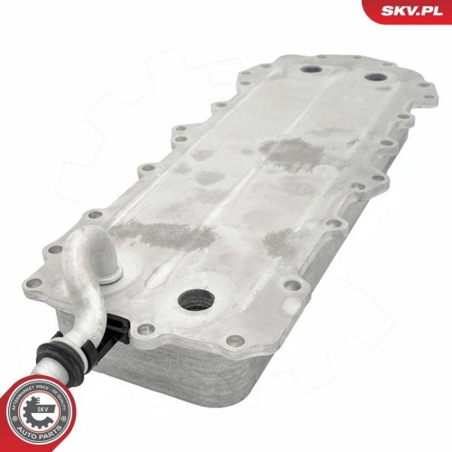 ESEN SKV &Ouml;lk&uuml;hler, Motor&ouml;l 31SKV362