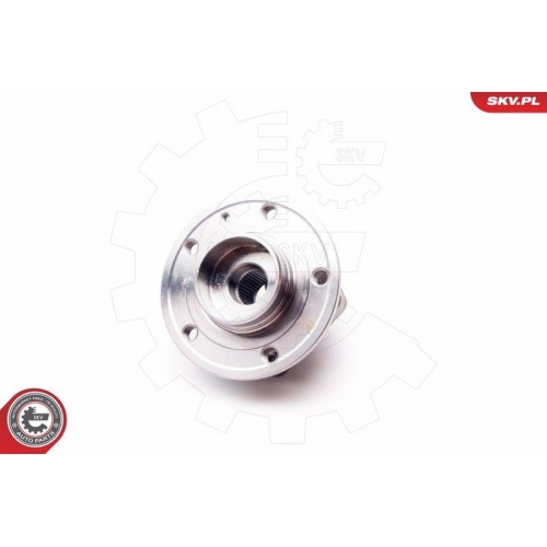 ESEN SKV Radlagersatz