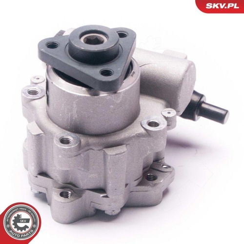 ESEN SKV Hydraulikpumpe, Lenkung 10SKV224