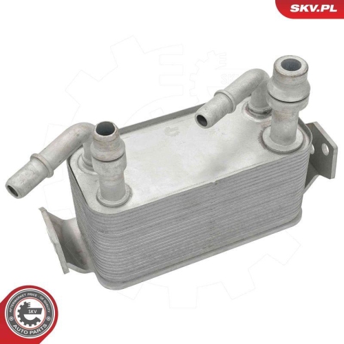 ESEN SKV &Ouml;lk&uuml;hler, Motor&ouml;l 31SKV372