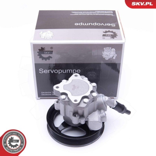 ESEN SKV Hydraulikpumpe, Lenkung 10SKV266