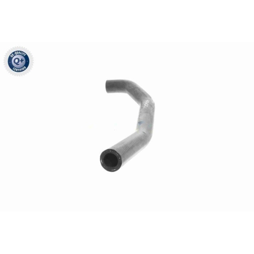 VAICO Kühlerschlauch Q+, Erstausrüsterqualität V10-4834