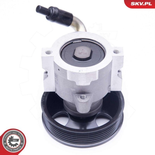 ESEN SKV Hydraulikpumpe, Lenkung 10SKV279
